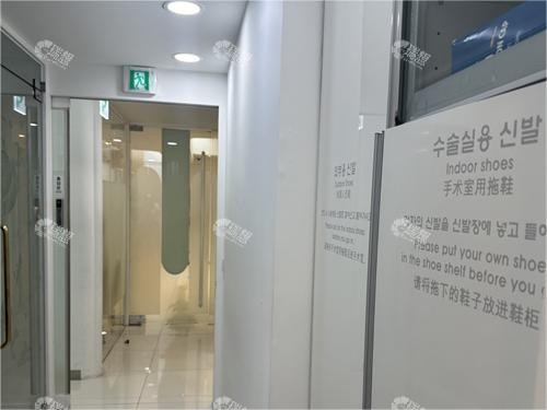 新美眼整形外科