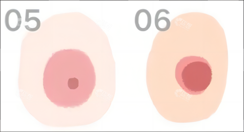 胸部乳晕形状素材图