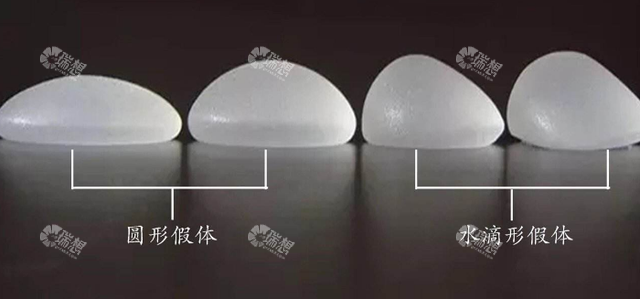 假体形状